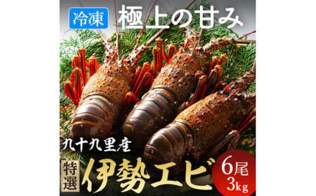 【 先行予約 2026年度発送】 冷凍伊勢海老 6尾 約3kg 刺身用