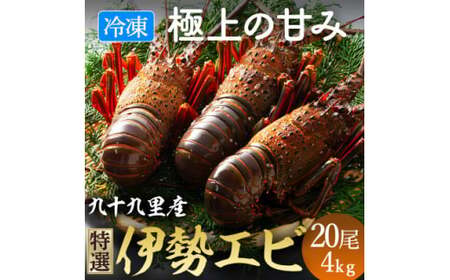 【 先行予約 2026年度発送】 冷凍伊勢海老 20尾 約4kg 刺身用