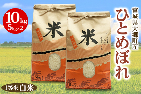 《令和7年産》宮城県 大郷町産 1等米 ひとめぼれ 白米 10kg (5kg×2袋) [0251]