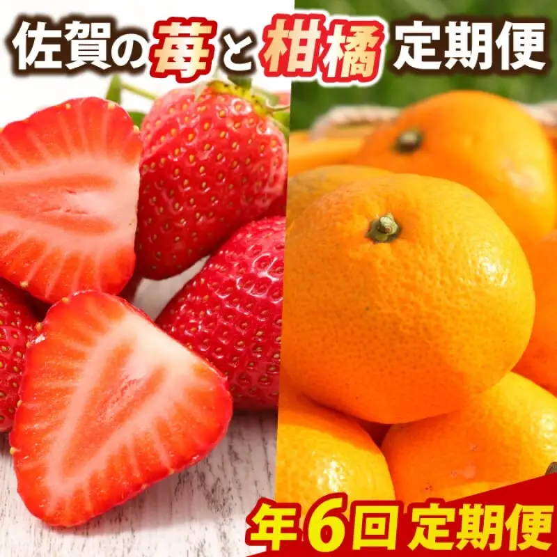定期便 6回 佐賀の苺と柑橘定期便 いちご 柑橘 年6回 ※配送不可：北海道、沖縄県、離島