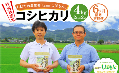 定期便 4kg×隔月6回 特別栽培米 新潟県産 米 新潟 新発田 米 コシヒカリ しばもん D35_04