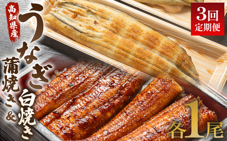 うなぎ 定期便 3回 うなぎ 蒲焼き 白焼き セット 120g 各1尾(無頭) 魚介 国産 海鮮 魚 かばやき 鰻 ウナギ 惣菜 おかず お手軽 しらやき 加工品 加工食品 冷凍 Wun-0102