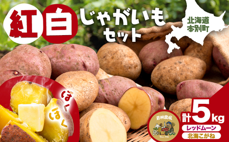 紅白じゃがいも 北海こがね レッドムーン 計5kg 若林農場《11月上旬から翌3月中旬まで順次発送》 じゃがいも 紅白じゃがいも じゃがいも じゃがいも 北海道じゃがいも