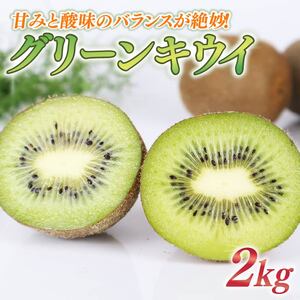 【期間限定】グリーンキウイ 2kg 落合農園 静岡県 牧之原市