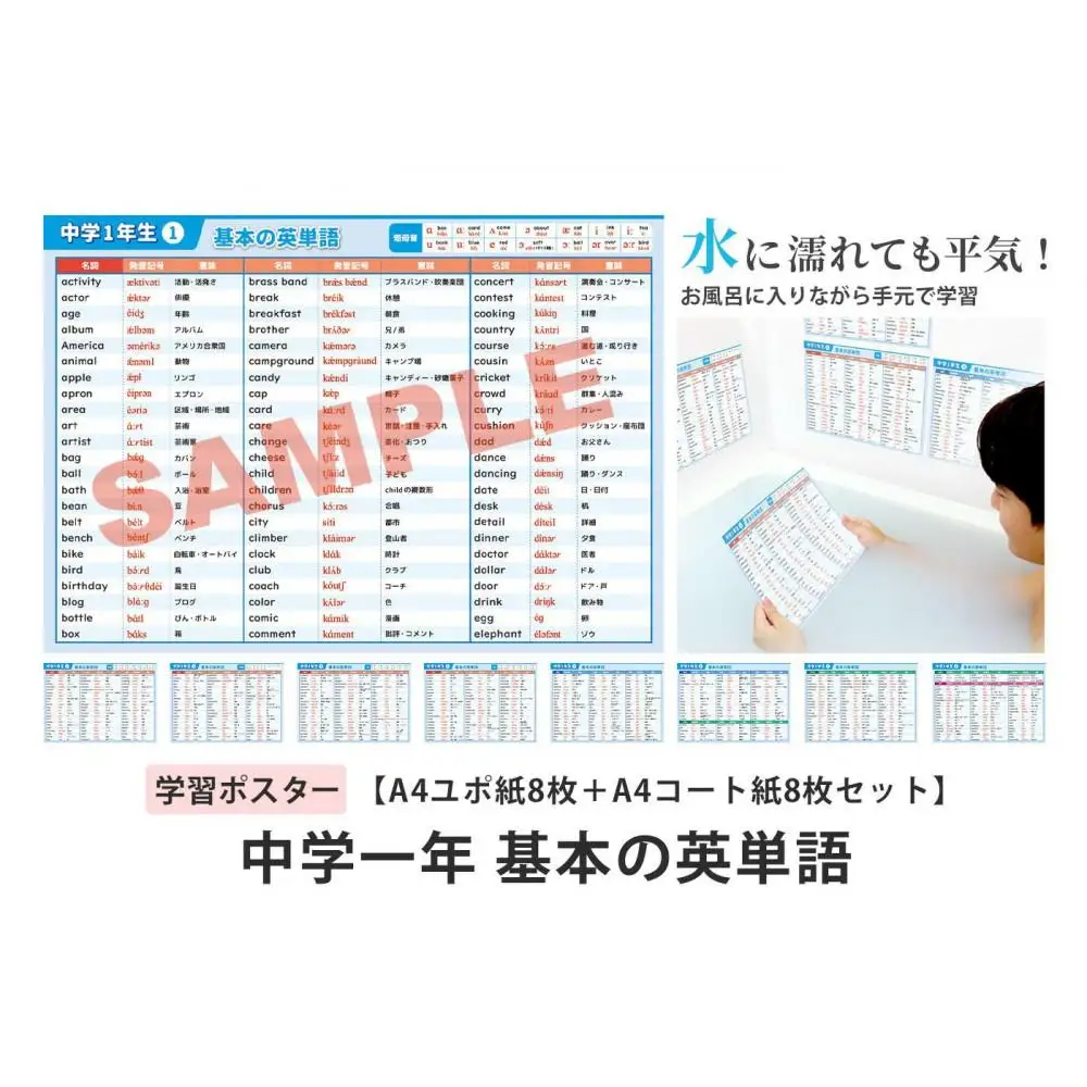学習ポスター　英語　中学一年　基本の英単語【A4ユポ紙8枚＋A4コート紙8枚セット】