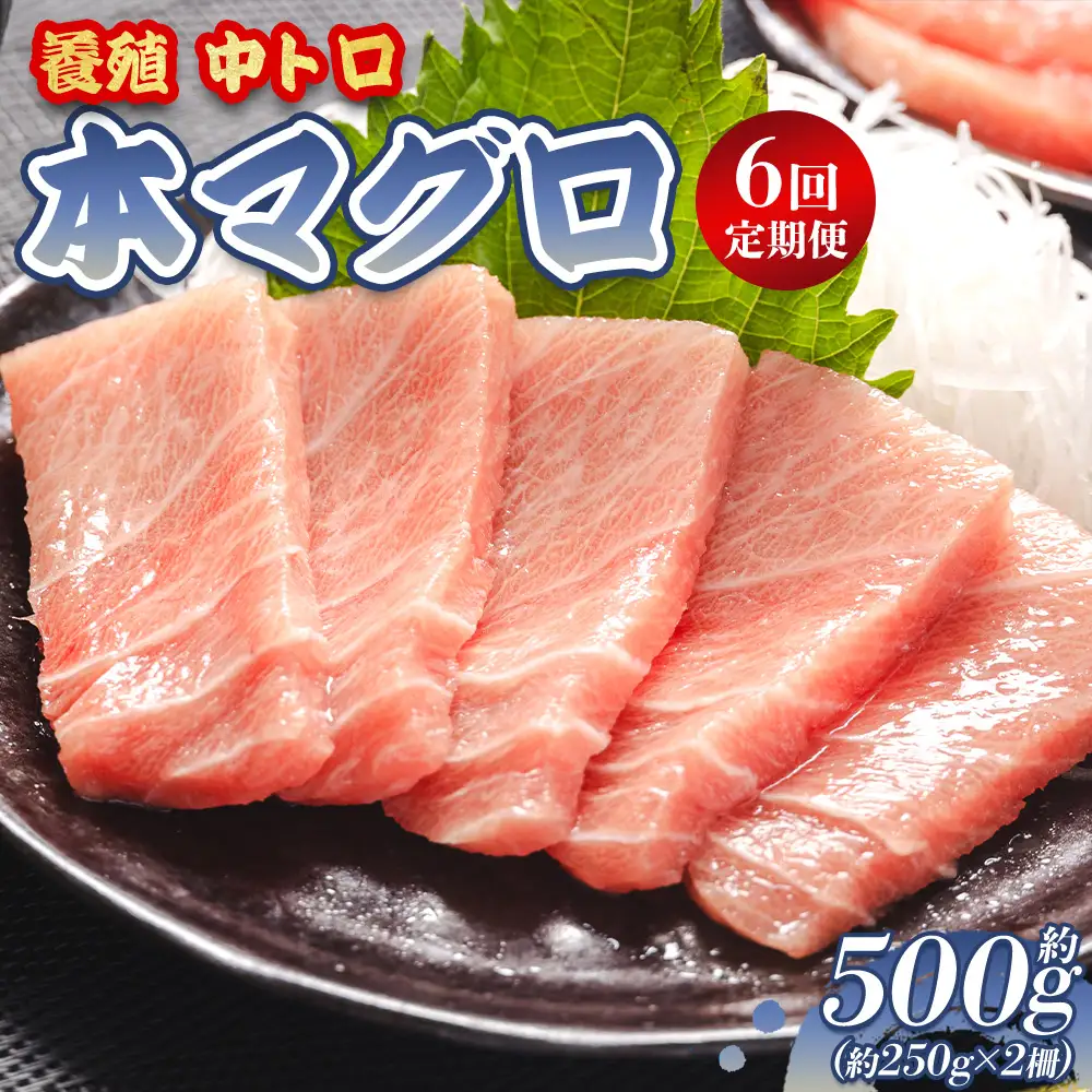 【定期便/計6回】本マグロ中トロ500g（計3kg）【まぐろまぐろまぐろまぐろまぐろまぐろまぐろまぐろまぐろまぐろまぐろまぐろまぐろまぐろまぐろまぐろまぐろまぐろまぐろまぐろまぐろまぐろまぐろまぐろまぐろまぐろまぐろまぐろまぐろまぐろまぐろまぐろまぐろまぐろまぐろまぐろまぐろまぐろまぐろまぐろまぐろまぐろまぐろまぐろまぐろまぐろまぐろまぐろまぐろまぐろまぐろまぐろまぐろまぐろまぐろまぐろまぐろまぐろまぐろまぐろまぐろまぐろまぐろまぐろまぐろまぐろまぐろまぐろまぐろまぐろまぐろまぐろまぐろまぐろまぐろまぐろまぐろまぐろまぐろまぐろまぐろまぐろまぐろまぐろまぐろまぐろまぐろまぐろまぐろまぐろまぐろまぐろまぐろまぐろまぐろまぐろまぐろまぐろまぐろまぐろまぐろまぐろまぐろまぐろまぐろまぐろまぐろまぐろまぐろまぐろまぐろまぐろまぐろまぐろまぐろまぐろまぐろまぐろまぐろまぐろまぐろまぐろまぐろまぐろまぐろまぐろまぐろまぐろまぐろまぐろまぐろまぐろまぐろまぐろまぐろまぐろまぐろまぐろまぐろまぐろまぐろまぐろまぐろまぐろまぐろまぐろまぐろまぐろまぐろまぐろまぐろまぐろまぐろまぐろまぐろまぐろまぐろまぐろまぐろまぐろまぐろまぐろまぐろまぐろまぐろまぐろまぐろまぐろまぐろまぐろまぐろまぐろまぐろまぐろまぐろまぐろまぐろまぐろまぐろまぐろまぐろまぐろまぐろまぐろまぐろまぐろまぐろまぐろまぐろまぐろまぐろまぐろまぐろまぐろまぐろまぐろまぐろまぐろまぐろまぐろまぐろまぐろまぐろまぐろまぐろまぐろまぐろまぐろまぐろまぐろまぐろまぐろまぐろまぐろまぐろまぐろまぐろまぐろまぐろまぐろまぐろまぐろまぐろまぐろまぐろまぐろまぐろまぐろまぐろまぐろまぐろまぐろまぐろまぐろまぐろまぐろまぐろまぐろまぐろまぐろまぐろまぐろまぐろまぐろまぐろまぐろまぐろまぐろまぐろまぐろまぐろまぐろまぐろまぐろまぐろまぐろまぐろまぐろまぐろまぐろまぐろまぐろまぐろまぐろまぐろまぐろまぐろまぐろまぐろまぐろまぐろまぐろまぐろまぐろまぐろまぐろまぐろまぐろまぐろまぐろまぐろまぐろまぐろまぐろまぐろまぐろまぐろまぐろまぐろまぐろまぐろまぐろまぐろまぐろまぐろまぐろまぐろまぐろまぐろまぐろまぐろまぐろまぐろまぐろまぐろまぐろまぐろまぐろまぐろまぐろまぐろまぐろまぐろまぐろまぐろまぐろまぐろ】  Woo-0024