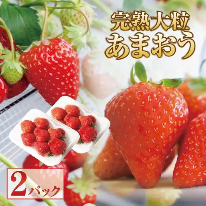【2027年1月～3月出荷予定】完熟 大粒 あまおう イチゴ 280g×2パック(約560g)＜配送不可：北海道、沖縄県、離島＞