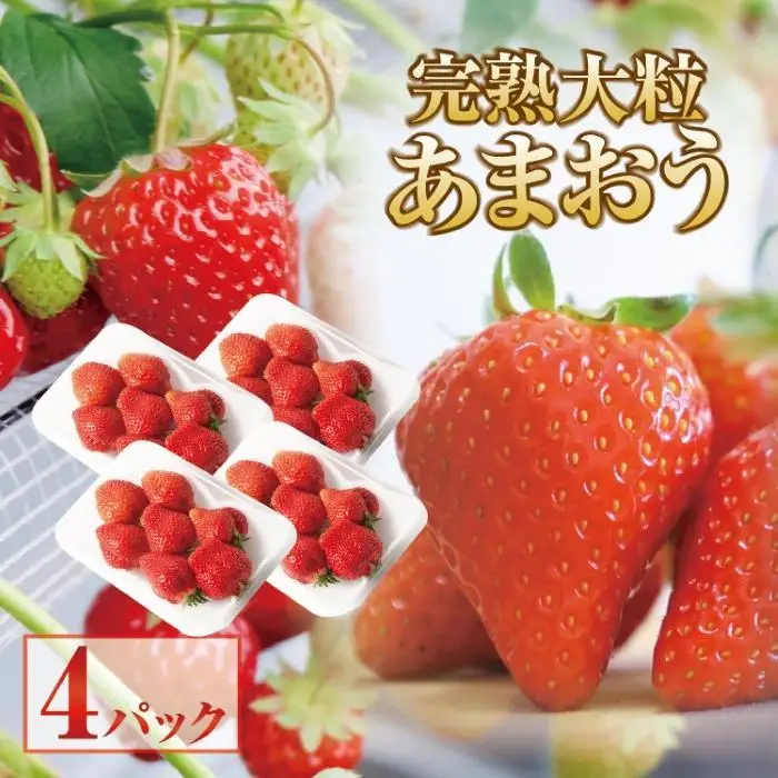 【2027年1月～3月出荷予定】完熟 大粒 あまおう イチゴ 280g×4パック(約1120g)＜配送不可：北海道、沖縄県、離島＞