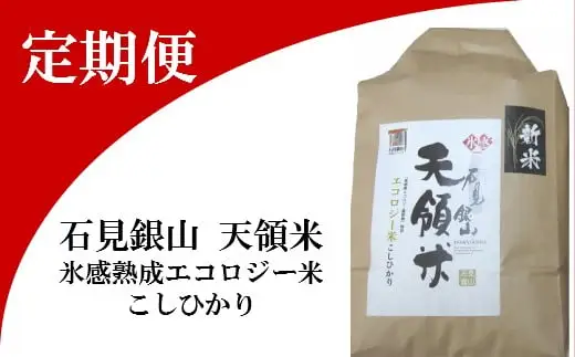 石見銀山天領米定期便（5kg×2回お届け）【コシヒカリ 定期便 こしひかり 定期 2回 精米 5kg×2回 合計10kg 島根県産 大田市産 米 氷感熟成 エコロジー米】
