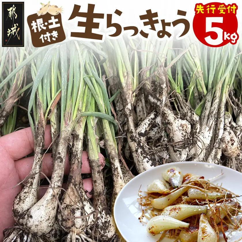 【先行受付!】根付き土付き生らっきょう5kg≪2027年5月中旬以降順次お届け≫〔13-L7-001-5kg〕