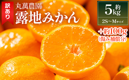 訳あり 温州みかん 5kg みかん 傷み補償分付き フルーツ 果物 くだもの 柑橘 丸萬農園 mn-0012
