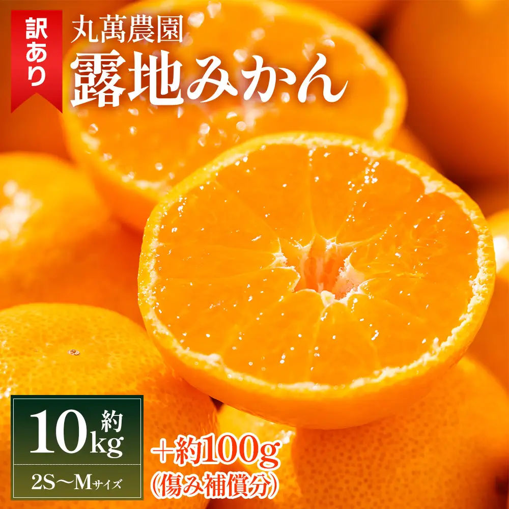 訳あり 小玉みかん 10kg みかん mn-0013 
