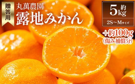 【2026年出荷分】露地みかん(2S～Mサイズ) 5kg 贈答用 丸萬農園【贈答用みかん 国産みかん 温州みかん 露地みかん 小玉みかん 高知県産みかん 甘いみかん おすすめみかん】 mn-0009