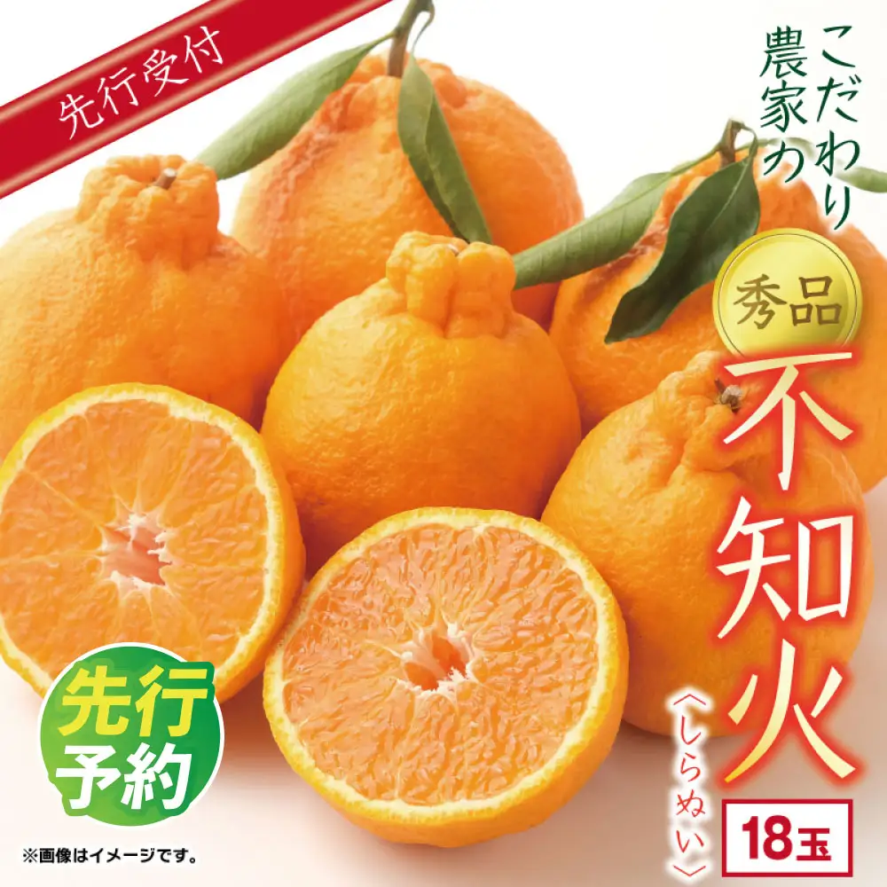 こだわり農家の 秀品 不知火 18玉  蜜柑 みかん ミカン 果物 フルーツ ギフト 贈り物 プレゼント 柑橘 くだもの 【2027年4月上旬より発送開始予定】