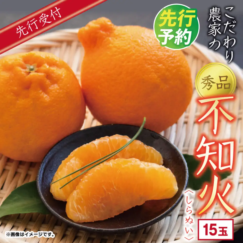 こだわり農家の 秀品 不知火 15玉 （ 大玉 ） 蜜柑 みかん ミカン 果物 フルーツ ギフト 贈り物 プレゼント 柑橘 くだもの 【2027年4月上旬より発送開始予定】