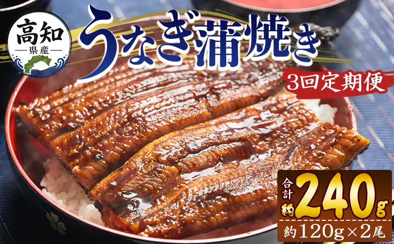 国産 うなぎ 定期便 100g～120g 2尾 3回 蒲焼き 高知県産 養殖 魚介 国産 海鮮 魚 かばやき 鰻 ウナギ 惣菜 おかず お手軽 加工品 加工食品 冷凍 Wfb-0038