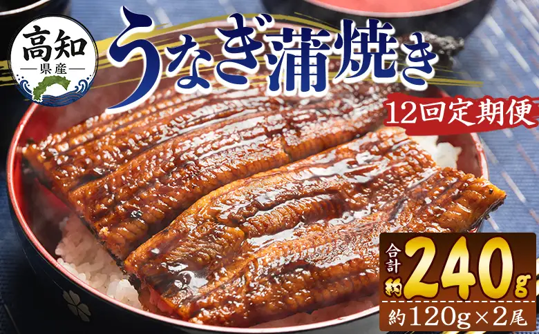 うなぎ蒲焼き 100〜120g 2尾 定期便 12回 うなぎ Wfb-0040
