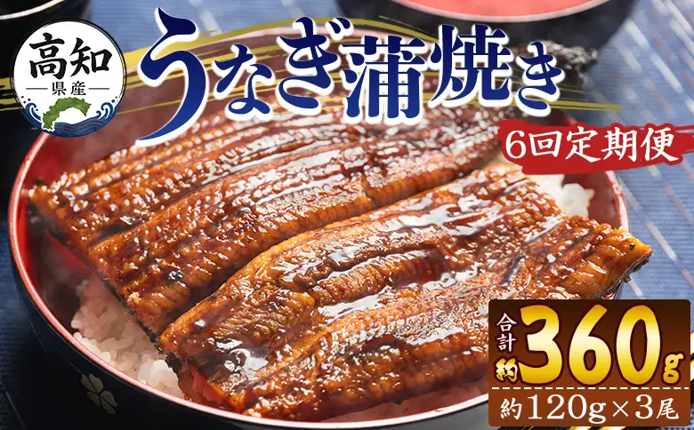 国産 うなぎ 定期便 100g～120g 3尾 6回 蒲焼き 高知県産 養殖 魚介 国産 海鮮 魚 かばやき 鰻 ウナギ 惣菜 おかず お手軽 加工品 加工食品 冷凍 Wfb-0043