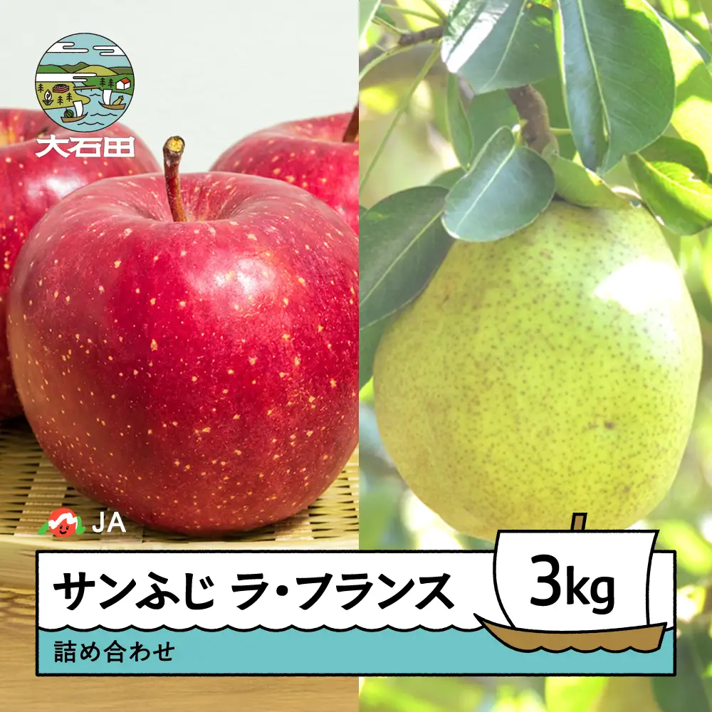 【先行予約】 りんご サンふじ 洋梨 ラ・フランス 詰め合わせ 3kg 2026年産 令和8年産 リンゴ 林檎 洋ナシ 果物 フルーツ 果樹 ja-fsflx3 ※沖縄・離島への配送不可