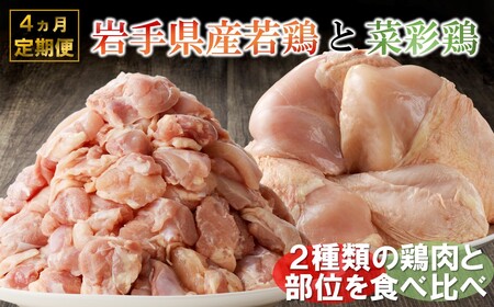 定期便【4回】菜彩鶏と岩手県産若鶏 食べ比べ 鶏肉定期便