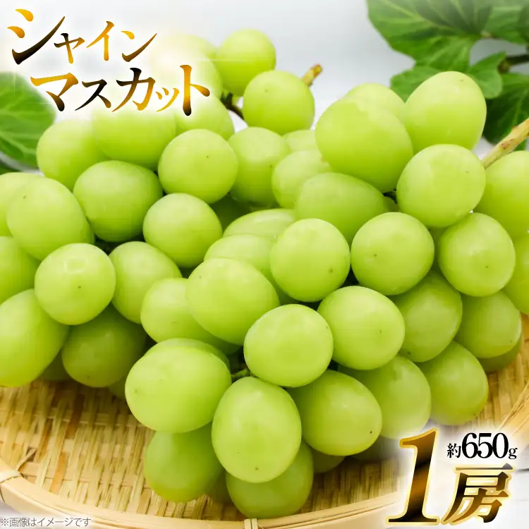 【期間限定発送】 シャインマスカット 1房 約 650g