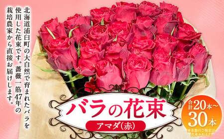 バラの花束 アマダ（赤）（20‐30本）| 花 バラ 薔薇 ローズ 生花 花束 ブーケ 赤 贈り物 プレゼント ギフト【2026年11月下旬頃迄発送予定】