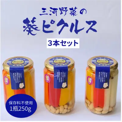 三河野菜の葵ピクルス あいちの家康酢漬 250g 3本