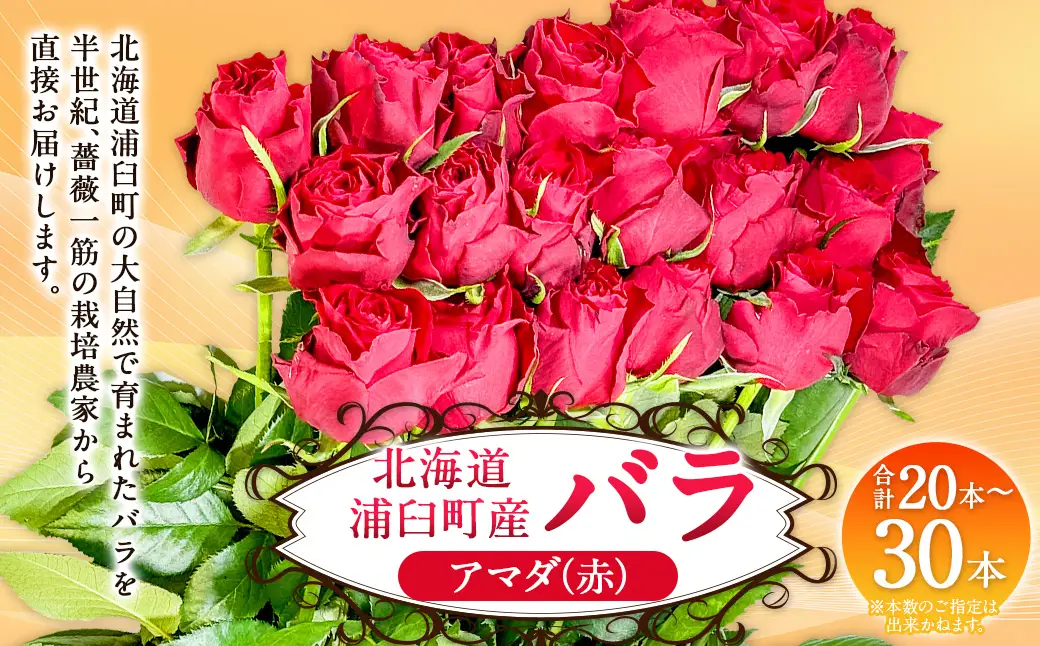 バラ アマダ（赤）（20‐30本）| 花 薔薇 ローズ 生花 赤 贈り物 プレゼント ギフト【2026年11月下旬頃迄発送予定】