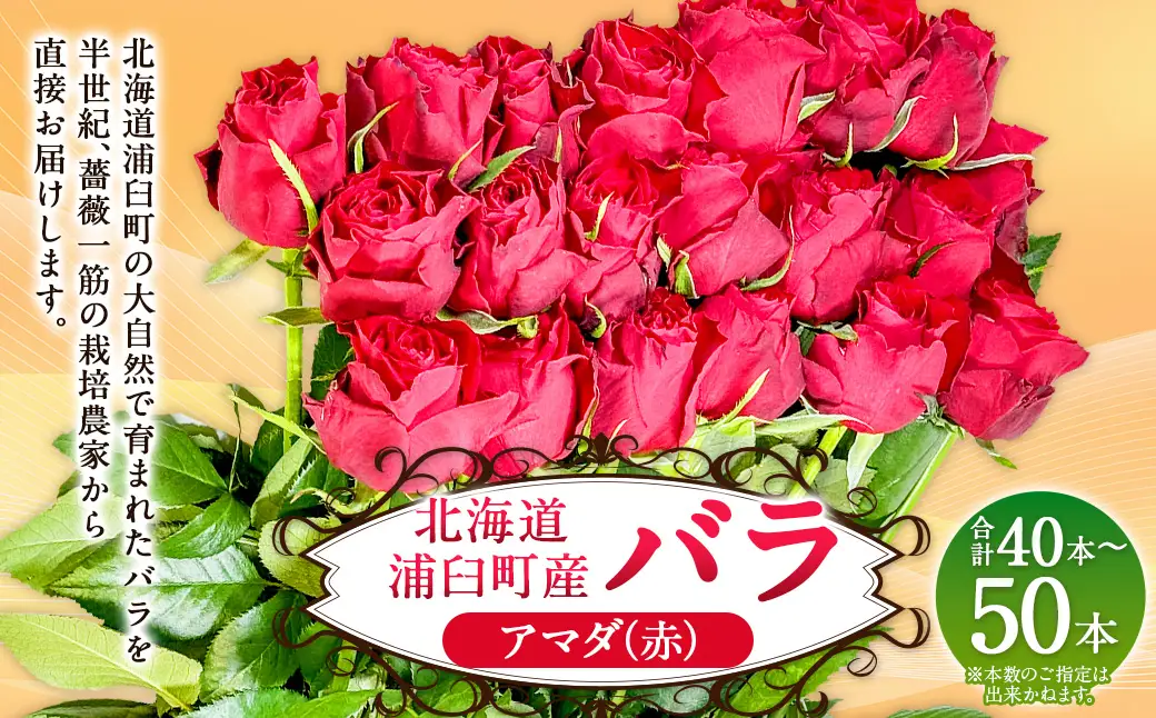 バラ アマダ（赤）（40‐50本）| 花 薔薇 ローズ 生花 赤 贈り物 プレゼント ギフト【2026年11月下旬頃迄発送予定】