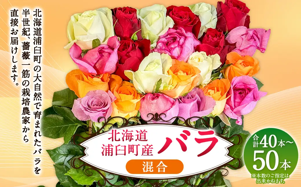 バラ 混合（40‐50本）| 花 バラ 薔薇 生花 ローズ 贈り物 プレゼント ギフト【2026年11月下旬頃迄発送予定】