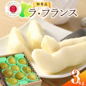 《先行予約》 【GI登録産品】 令和8年産 特秀品「山形ラ・フランス」3kg 《化粧箱入り》 L - 5L サイズおまかせ 山形県産 2026年産 【2026年11月中旬頃から12月末頃発送予定】　012-B-AF005