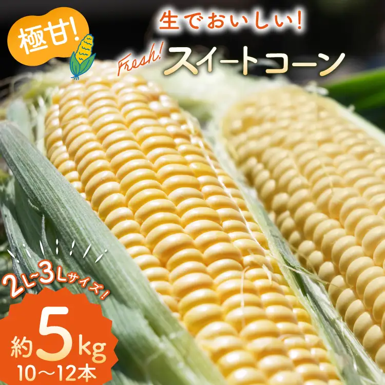 BI207【令和9年度出荷分】とうもろこし スイートコーン イエロー 2L〜3Lサイズ 10本〜12本 約5kg