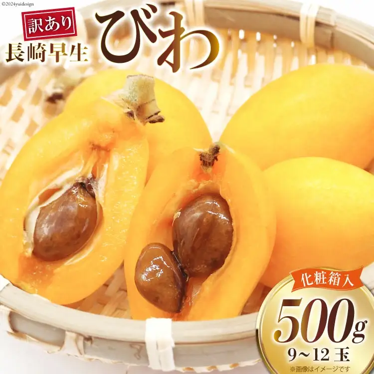 BI208 【令和9年度出荷分】訳あり 長崎 びわ 500g 温室ハウス栽培 長崎早生