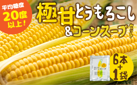 《先行予約》濃厚 極甘とうもろこし ＆ コーンスープ セット とうもろこし