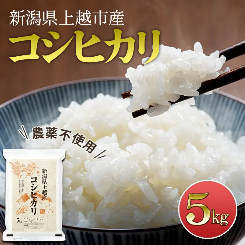 先行予約 令和8年産 新潟県上越市産 栽培期間中 農薬不使用 コシヒカリ 5kg 精米 米 橋本農場