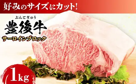おおいた豊後牛 サーロイン ブロック 1kg  日田市 [AREI023] サーロイン ステーキ 