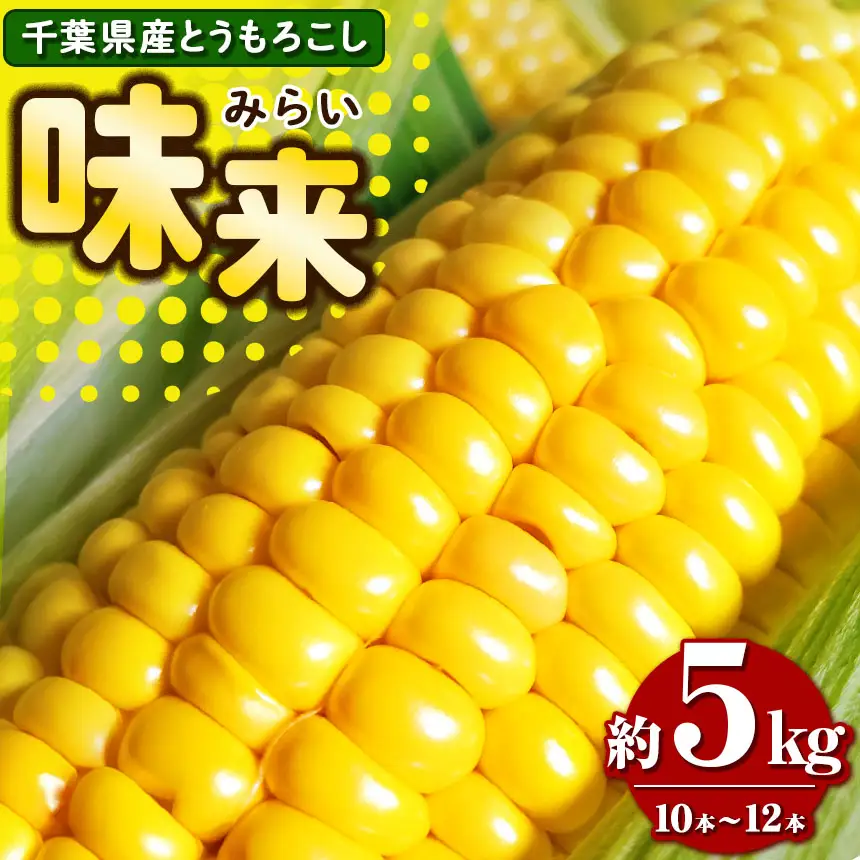 高糖度 とうもろこし 味来 約 5kg（10本～12 本）7月上旬から順次発送 | 里菜ファーム トウモロコシ 平均糖度12度以上