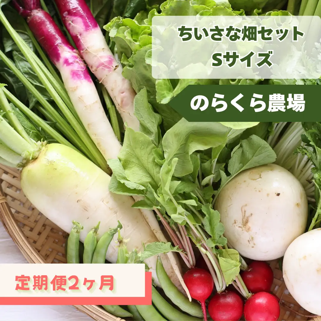 定期便2カ月　有機野菜ちいさな畑セット（Sサイズ　１～２人前）（NK-T518）
