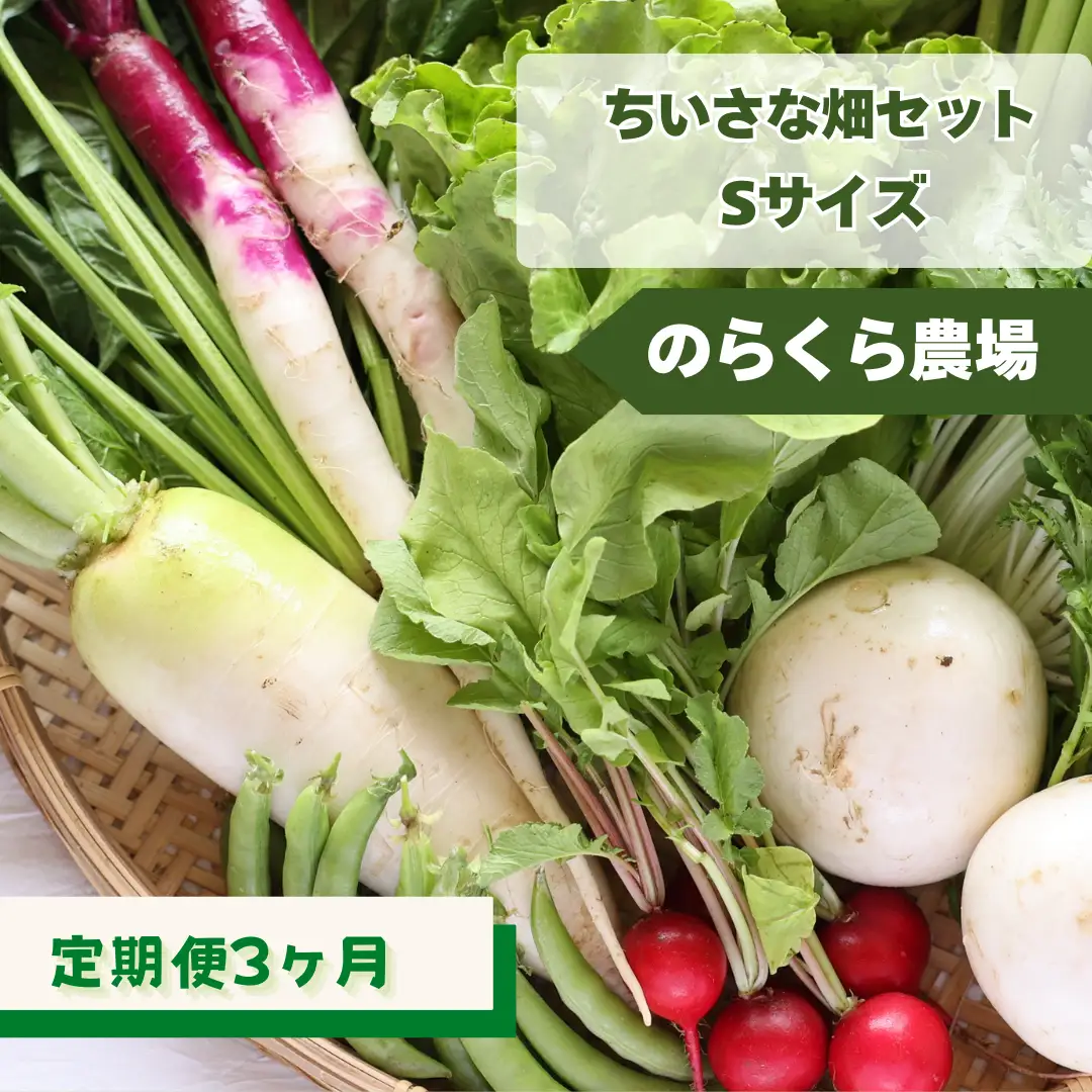 定期便3カ月　有機野菜ちいさな畑セット（Sサイズ　１～２人前）（NK-T519）