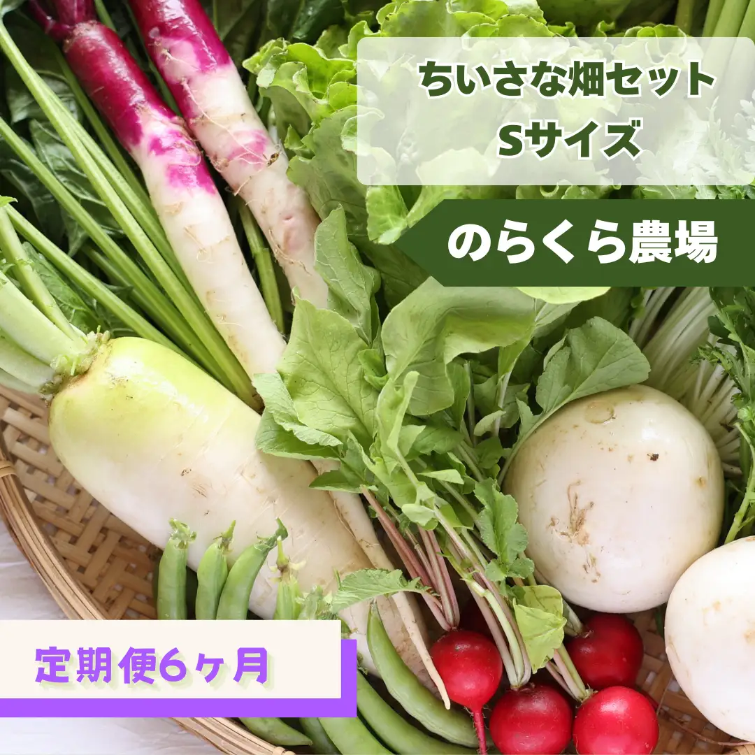 定期便6カ月　有機野菜ちいさな畑セット（Sサイズ　１～２人前）（NK-T521）