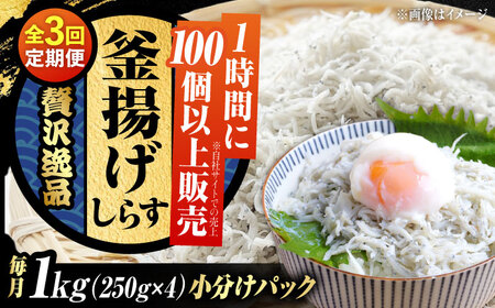 【全3回】冷凍釜揚げしらす1kg しらす[XCN008]