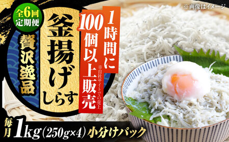 【全6回】冷凍釜揚げしらす1kg しらす[XCN009]
