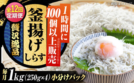 【全12回】冷凍釜揚げしらす1kg しらす[XCN010]