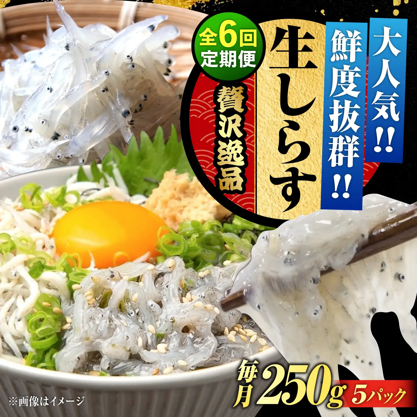 【全6回】冷凍生しらす50gX5個 しらす[XCN012]