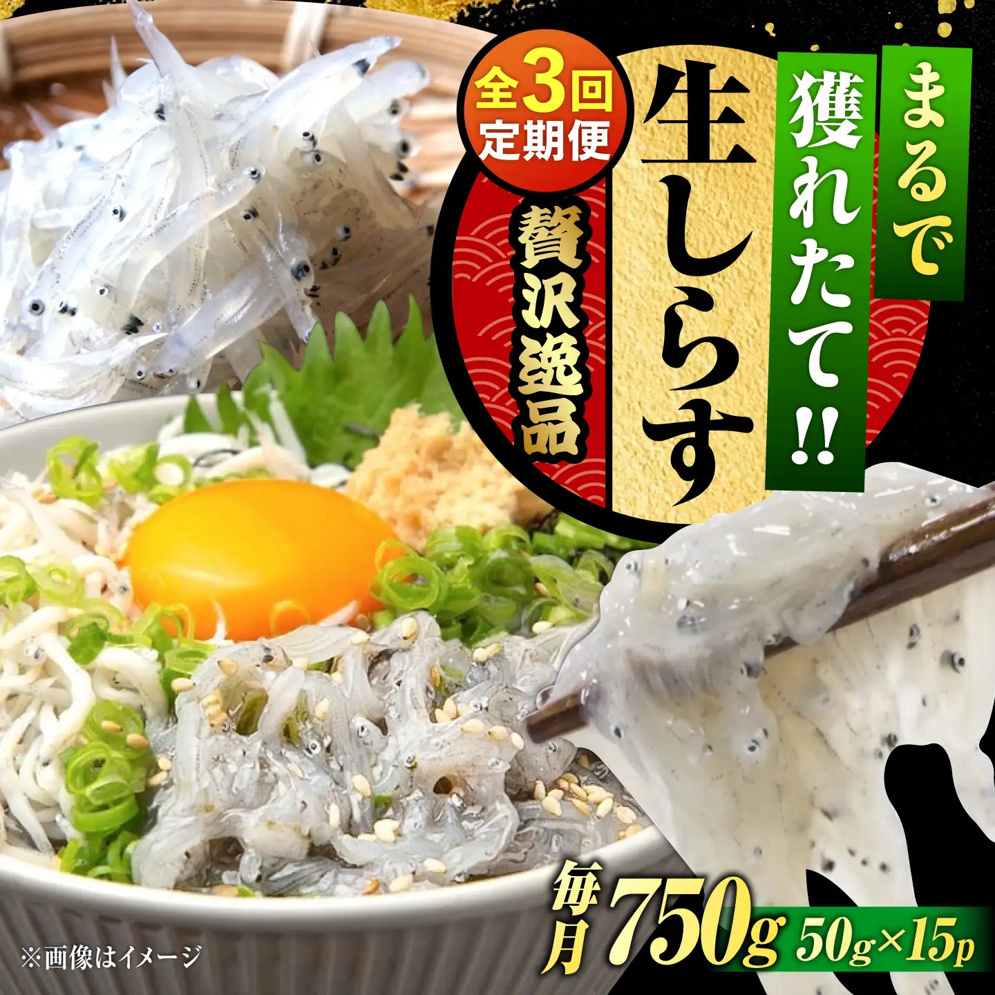 【全3回】冷凍生しらす50g×15個 しらす[XCN014]