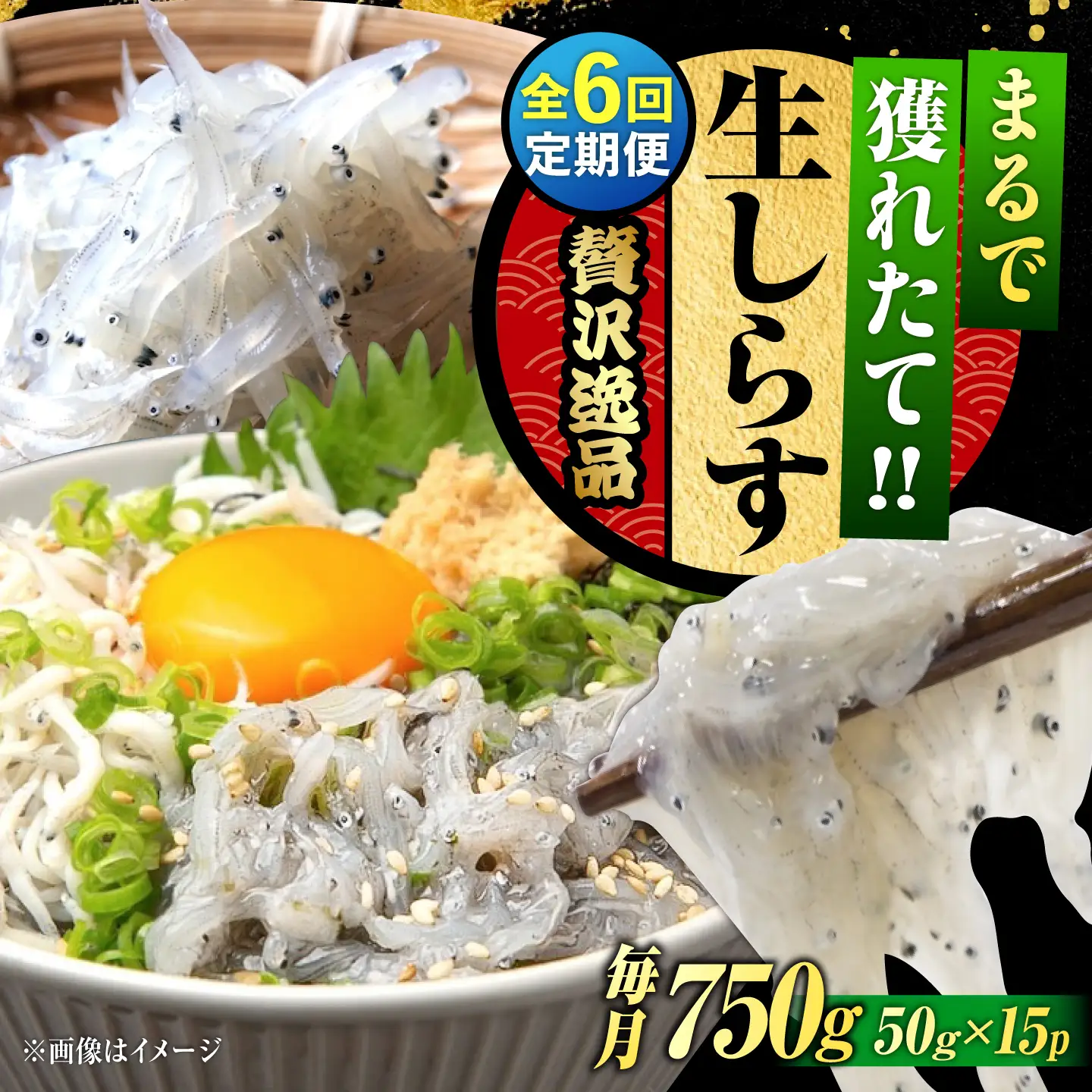 【全6回】冷凍生しらす50g×15個 しらす[XCN015]