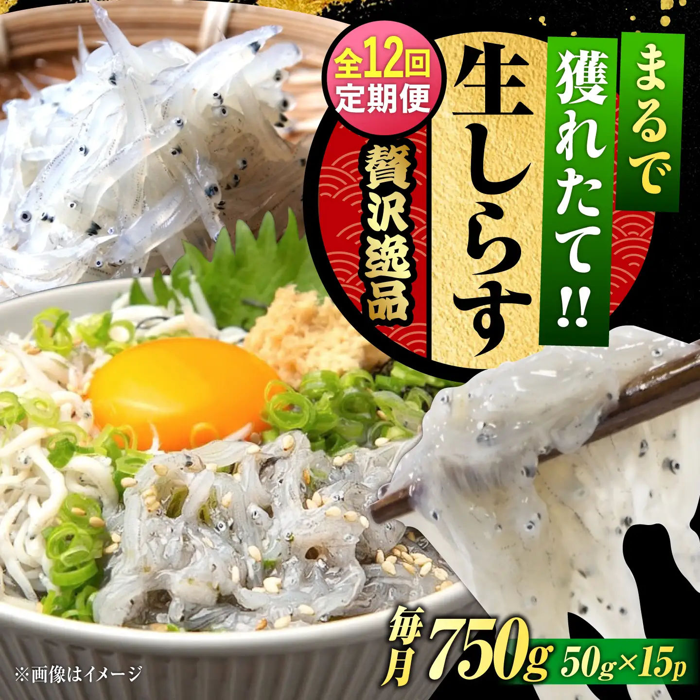 【全12回】冷凍生しらす50g×15個 しらす[XCN016]