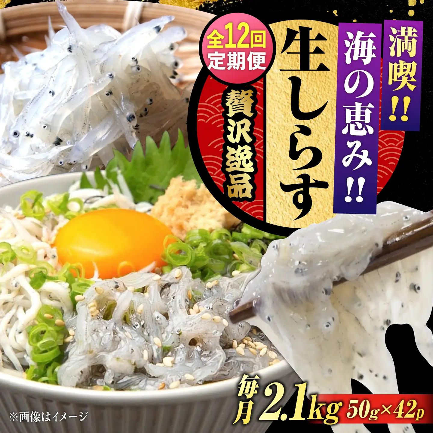 【全12回】冷凍生しらす50g×42個 しらす[XCN019]