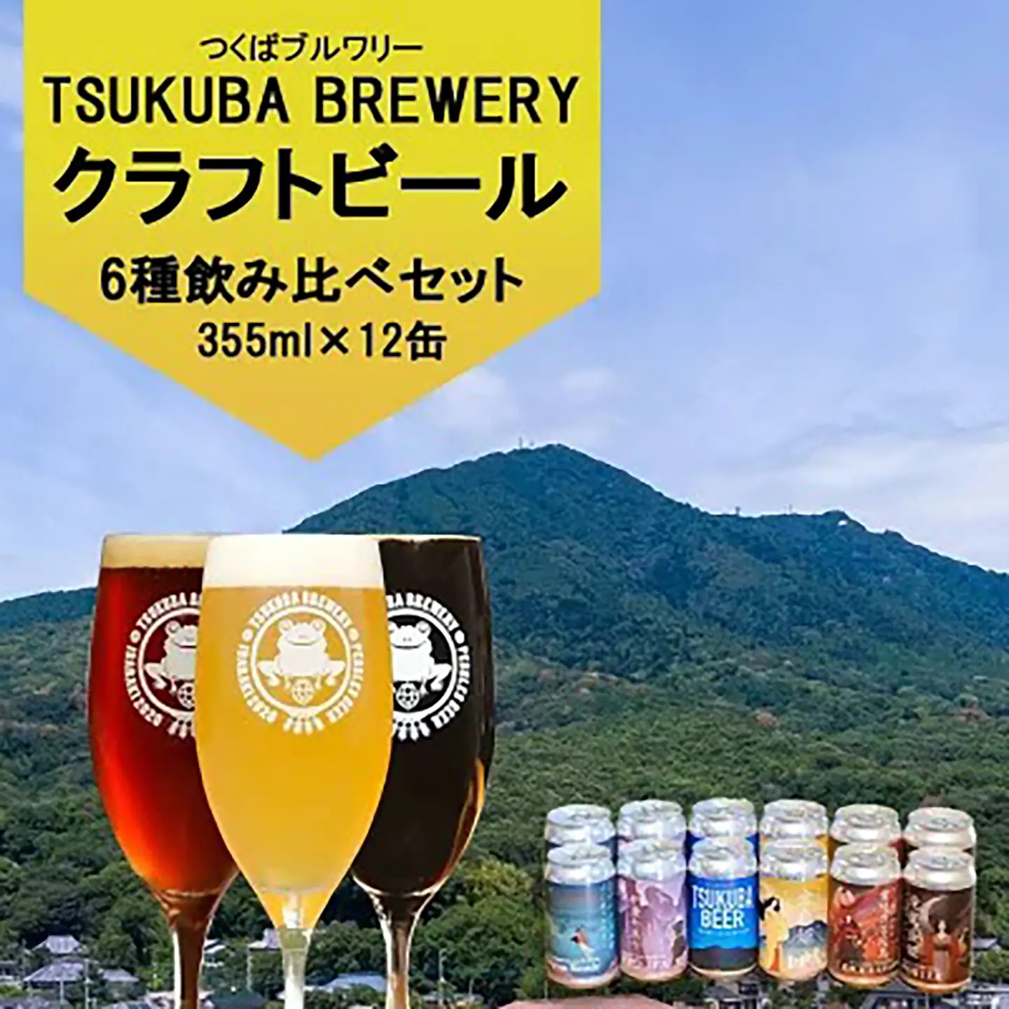 クラフトビール 12本 つくばブルワリー ビール