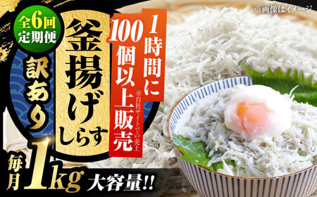 【全6回】訳あり釜揚げしらす1kg しらす[XCN027]